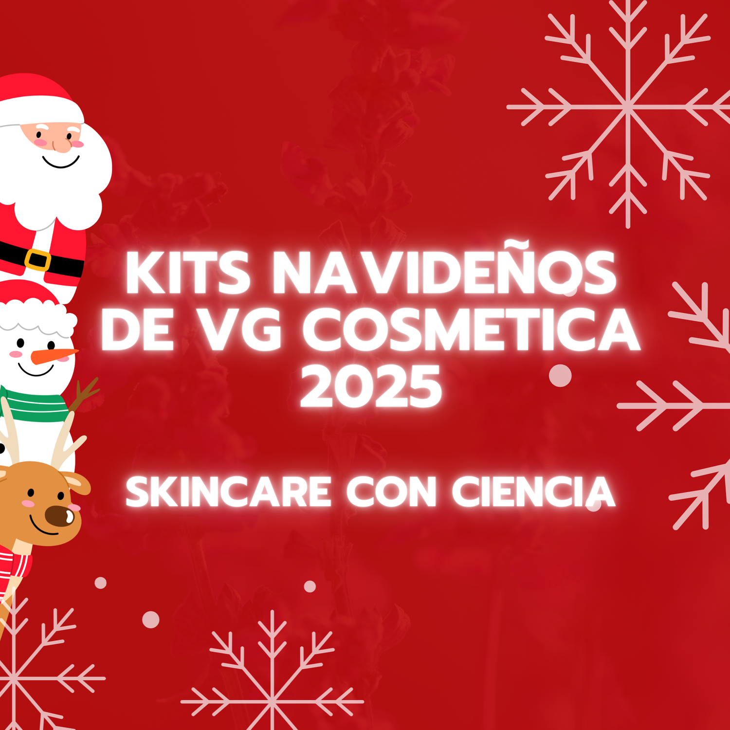 NAVIDAD Y FIN AÑO 2025